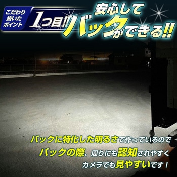 s25 バックランプ専用バルブ 12v/24v兼用 竹村商会