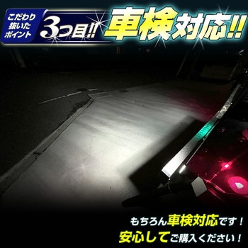 s25 バックランプ専用バルブ 12v/24v兼用 竹村商会