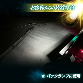 s25 バックランプ専用バルブ 12v/24v兼用 竹村商会