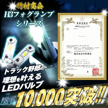 H3 フォグランプ用 LEDバルブ 12v/24v兼用 竹村商会