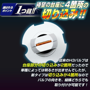 H3 フォグランプ用 LEDバルブ 12v/24v兼用 竹村商会