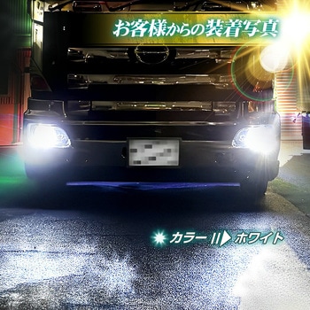 H3 フォグランプ用 LEDバルブ 12v/24v兼用 竹村商会