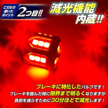 s25 LED ダブル球  BAY15d 12v/24v兼用 竹村商会