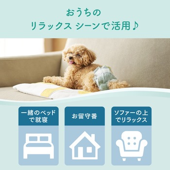 キミおもいリラックスウェアL エリエール