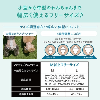 キミおもいアクティブウェア M-L26枚 エリエール