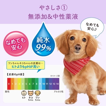 キミおもいウエットティシュ―純水70×3 エリエール