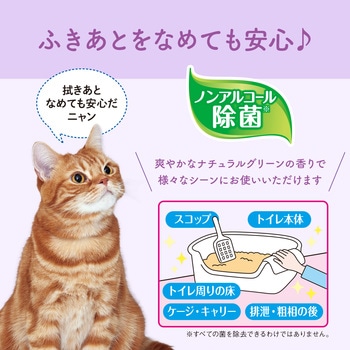 キミおもいおそうじシート大判厚手26枚×2P エリエール