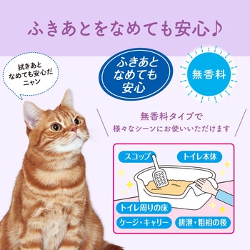 キミおもいおそうじシートボトルつめかえ60枚 エリエール