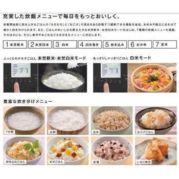 ガス炊飯器(2タイマー・ジャー機能付) リンナイ