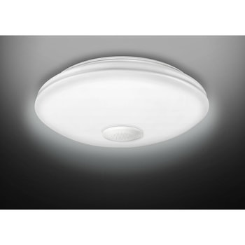 LEDシーリンクスピーカー付昼光色 東芝