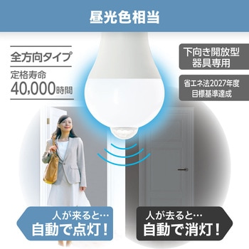 A形LED センサー付き ヤザワコーポレーション