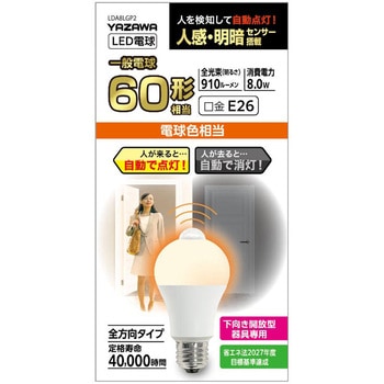 A形LED センサー付き ヤザワコーポレーション