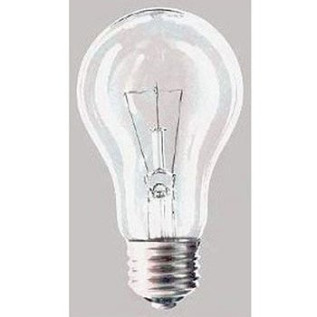 一般電球100Wクリヤー 旭光電機工業
