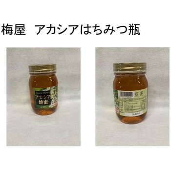 600g 瓶 アカシア蜂蜜 1個(600g) 梅屋ハネー 【通販モノタロウ】