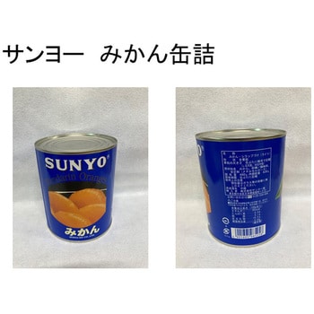 2号缶 SUNYO みかん缶詰 1缶(480g) サンヨー堂 【通販モノタロウ】