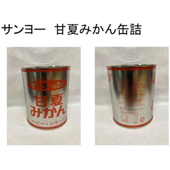 SUNYO 甘夏みかんL(ヘビー・シラップ)缶詰 サンヨー堂