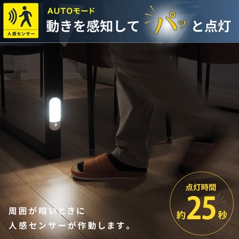 wasser95 充電式LEDセンサーライト 大河商事