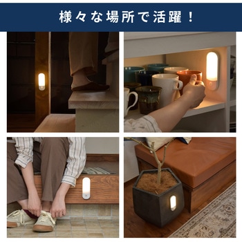 wasser95 充電式LEDセンサーライト 大河商事