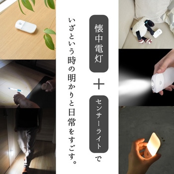wasser96 LEDセンサーライト 大河商事