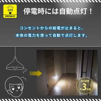 wasser96 LEDセンサーライト 大河商事