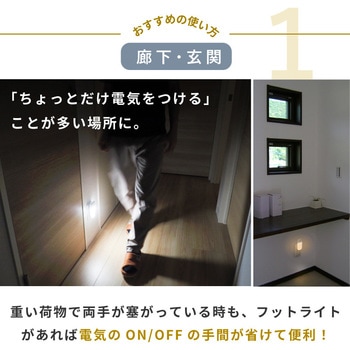 wasser96 LEDセンサーライト 大河商事