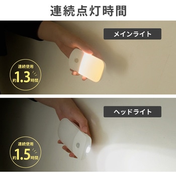 wasser96 LEDセンサーライト 大河商事