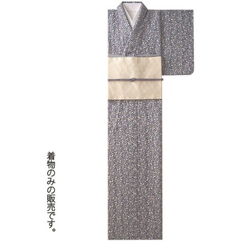 着物 南天文様 サーヴォ(サンペックスイスト)