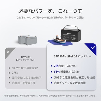 リン酸鉄リチウムイオンバッテリー 1個 RENOGY JAPAN 【通販 リン酸鉄リチウムイオンバッテリー 1個 RENOGY JAPAN 【通販