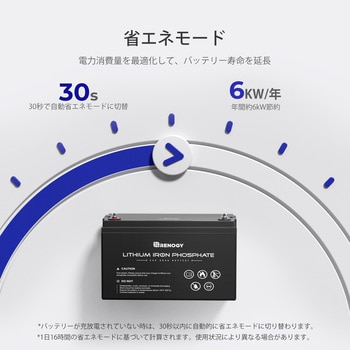 リン酸鉄リチウムイオンバッテリー 1個 RENOGY JAPAN 【通販 リン酸鉄リチウムイオンバッテリー 1個 RENOGY JAPAN 【通販