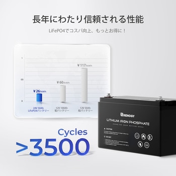 リン酸鉄リチウムイオンバッテリー 1個 RENOGY JAPAN 【通販 リン酸鉄リチウムイオンバッテリー 1個 RENOGY JAPAN 【通販