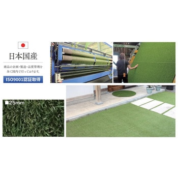 R-1025 国産人工芝「スターグラス」レギュラータイプ 1m×10m 1巻(10m