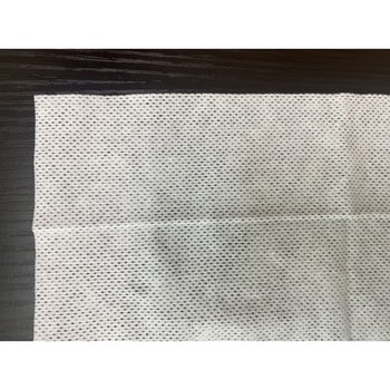 使い捨て厚手おしぼり 50本入り 九州紙工