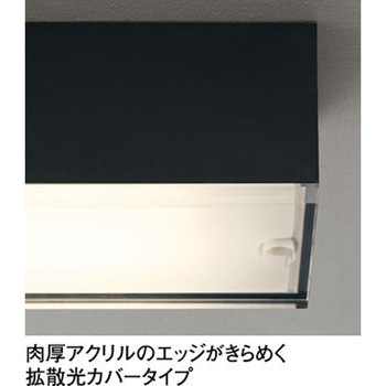 オーデリック 高演色LED エクステリア ポーチライト 小型シーリング 拡散光カバータイプ ODELIC(オーデリック)