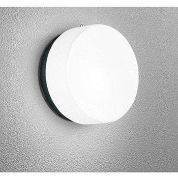 オーデリック 高演色LED エクステリア ポーチライト 別売人検知カメラ・センサー対応 ODELIC(オーデリック)