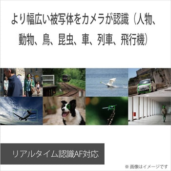 デジタル一眼カメラ α7C II ズームレンズキット ソニー ミラー