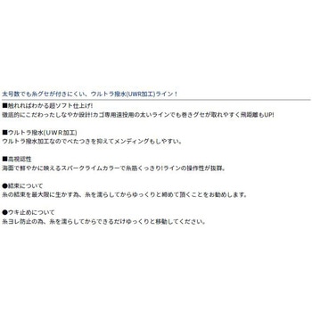 アストロン遠投 スペシャル ダイワ