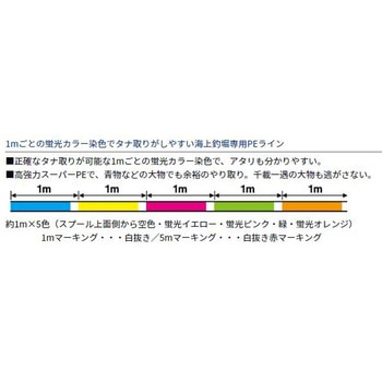 棚センサー 海上釣堀 ダイワ