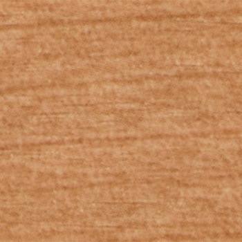 TE584 SܕtσV[g pltH 45548589