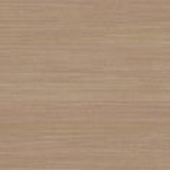 NS-2029 SܕtσV[g pltH 45548695