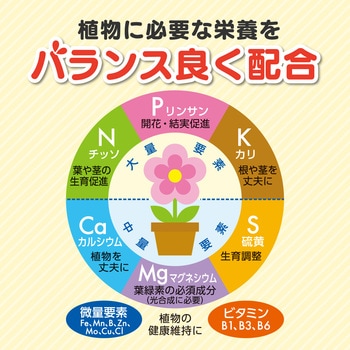 花工場原液 住友化学園芸