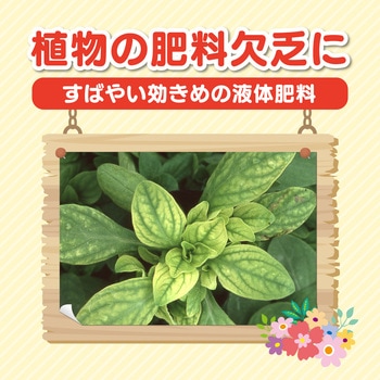 花工場原液 住友化学園芸