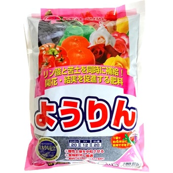 - 悤 SUN & HOPE(TAhz[v) 20D0o o^ۏ:A10445 45723239