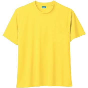 50383 半袖Tシャツ 桑和
