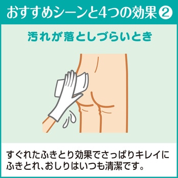 サニーナ 薬用スプレー状おしりふき業務用 花王