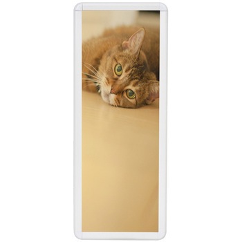 - ���f�B�A�O���b�v(MG-32R) ���� �F�� 45811868