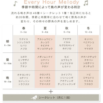 掛け時計 四季の野鳥がなる時報クロック 野鳥の声図鑑同梱 ホームテイスト