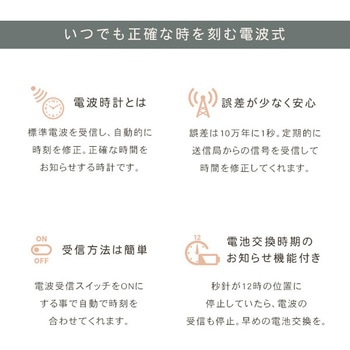掛け時計 四季の野鳥がなる時報クロック 野鳥の声図鑑同梱 ホームテイスト