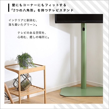 北欧インテリア 八角テレビスタンドハイタイプ専用 ハードディスクホルダーセット【Vihrea -ヴィフレア-】 ホームテイスト