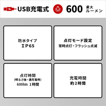 充電式スーパーフラッシュライト ホームテイスト