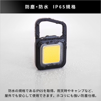 充電式スーパーフラッシュライト ホームテイスト